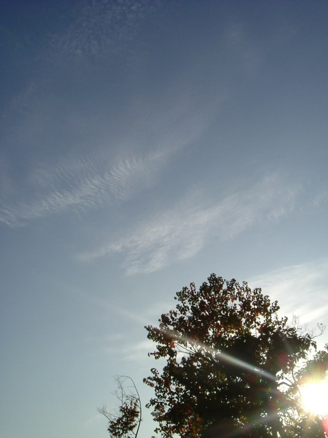 후지필름 파인픽스 FUJIFILM FinePix A310 실버 상품이미지5