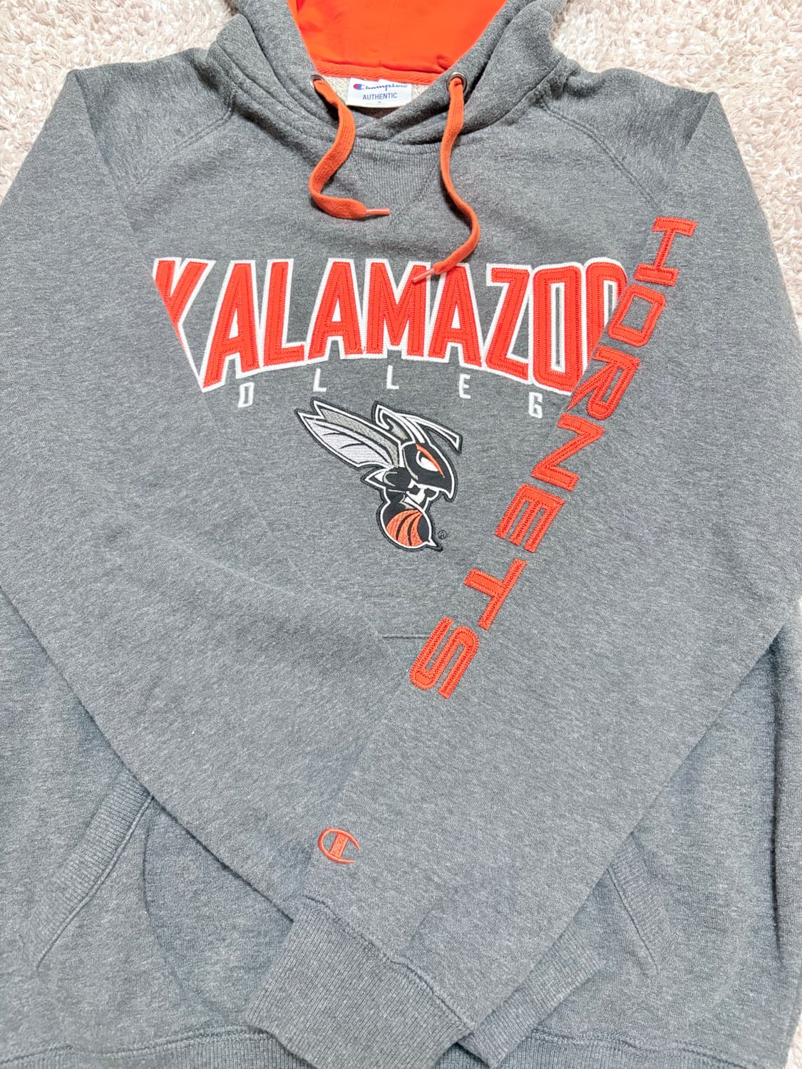 챔피온 후드티 상품이미지1