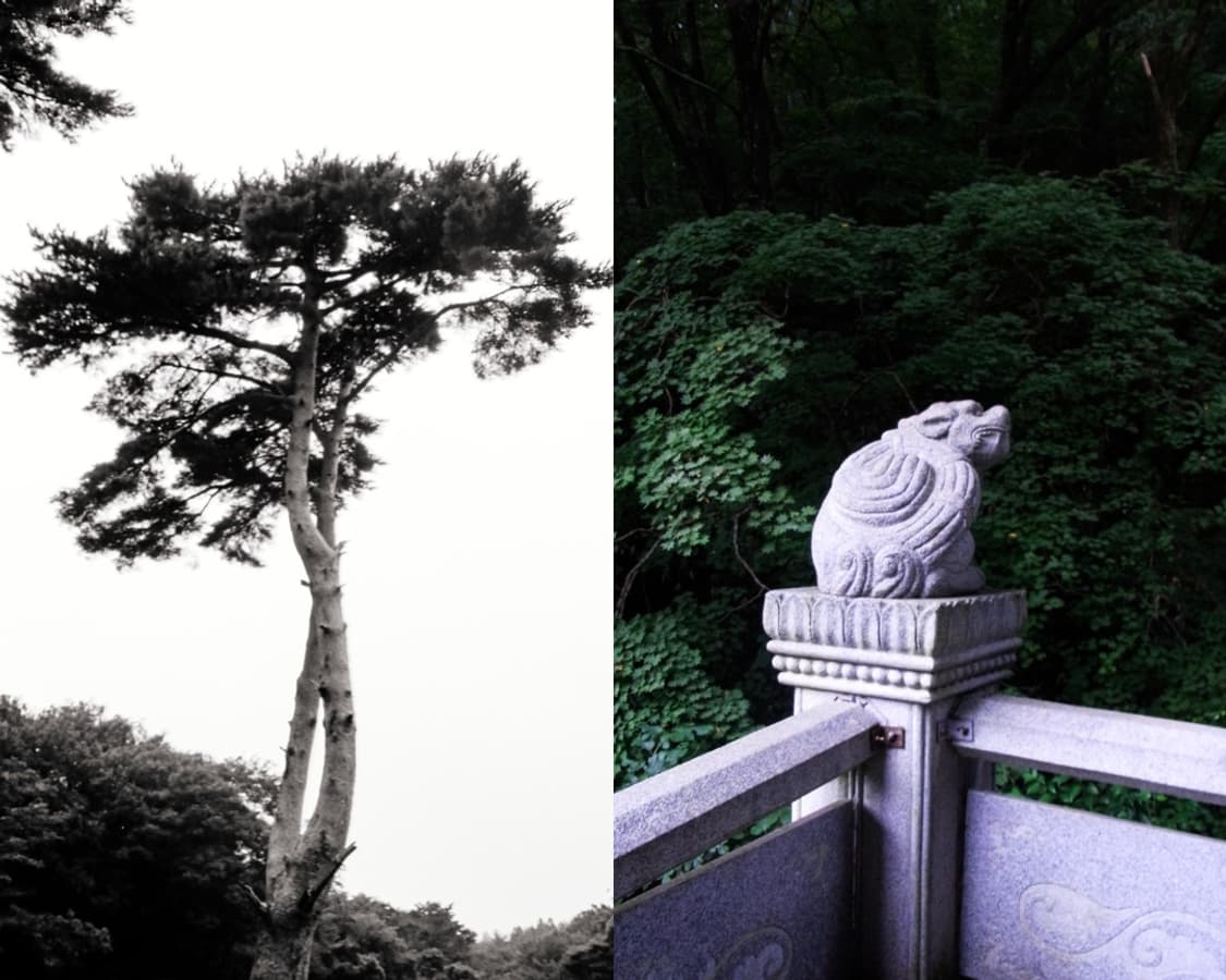 리코 CX2 디지털 카메라 상품이미지10