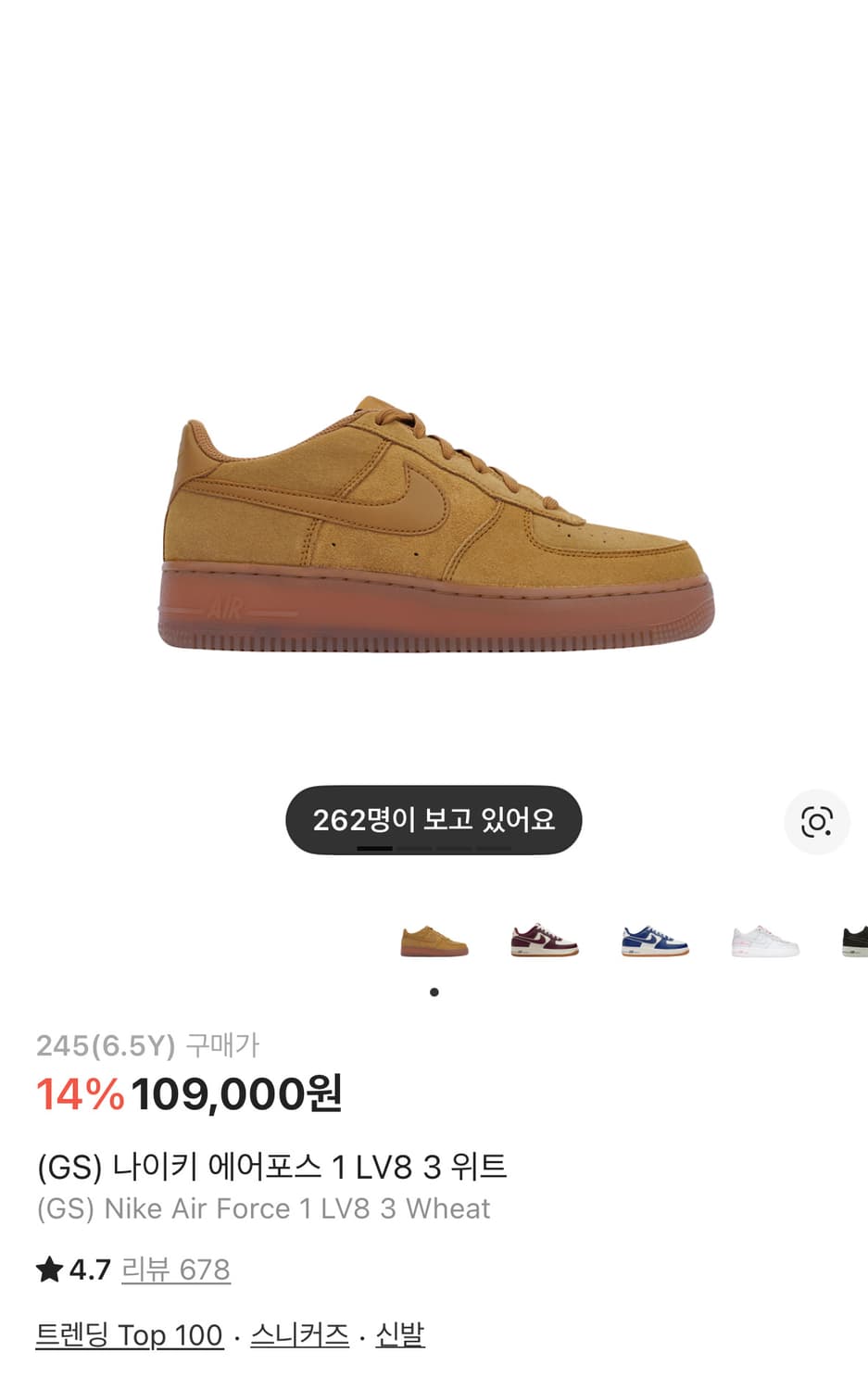 나이키 된장포스 245 상품이미지1