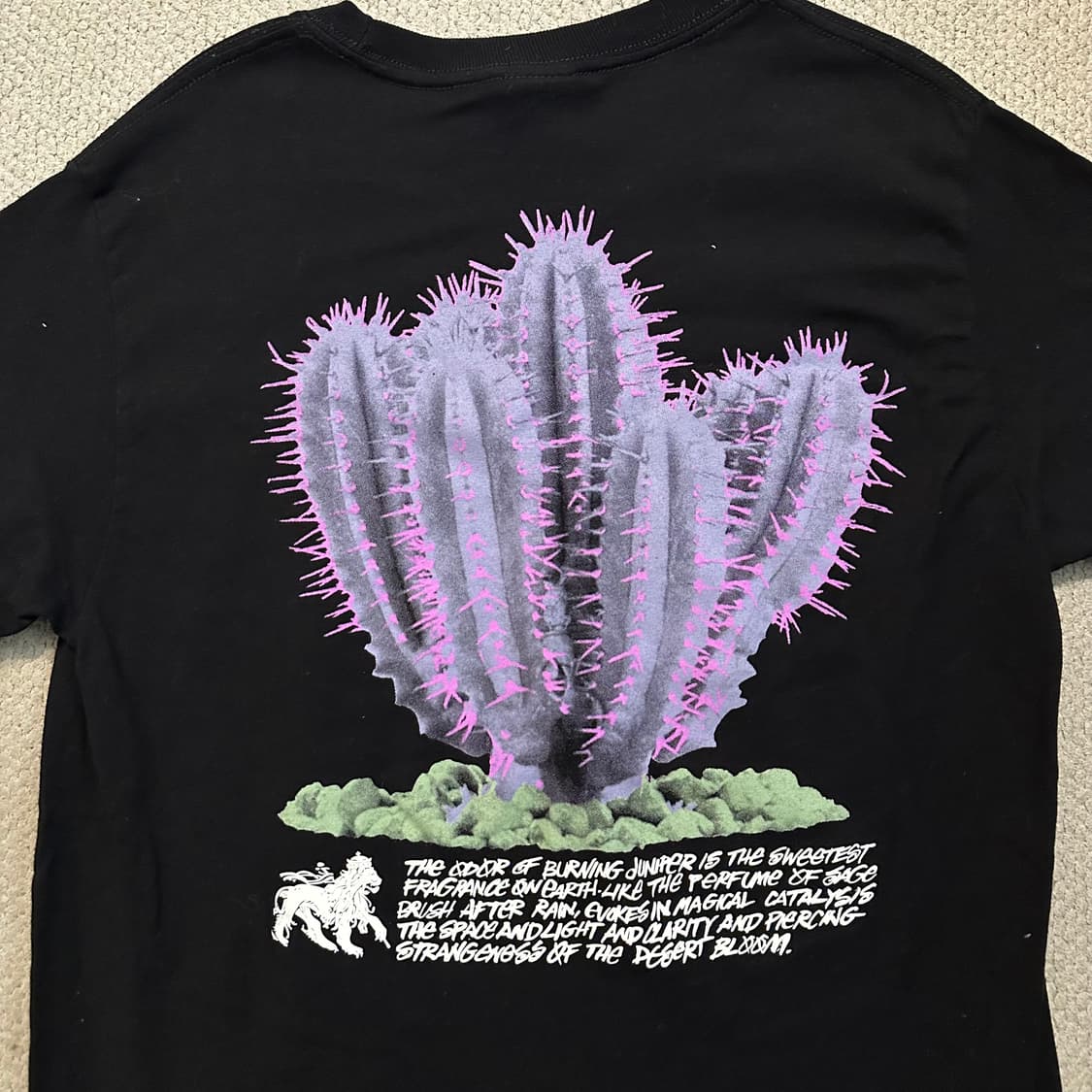 스투시(Stussy) 21SS 데저트 블룸 반팔 티셔츠 상품이미지9