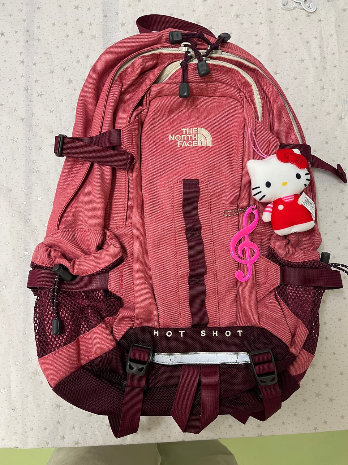 노스페이스 HOT SHOT 핑크 백팩 🎀 상품이미지7