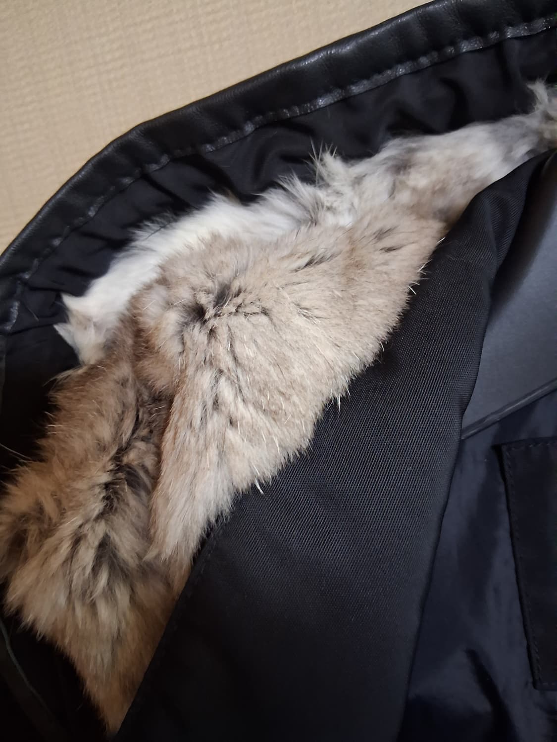 라코스테 코트 초등학생용 상품이미지2