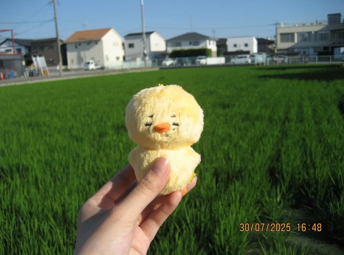 캐논 익서스 60 CANON IXUS 60 빈티지 디지털카메라 디카 상품이미지5