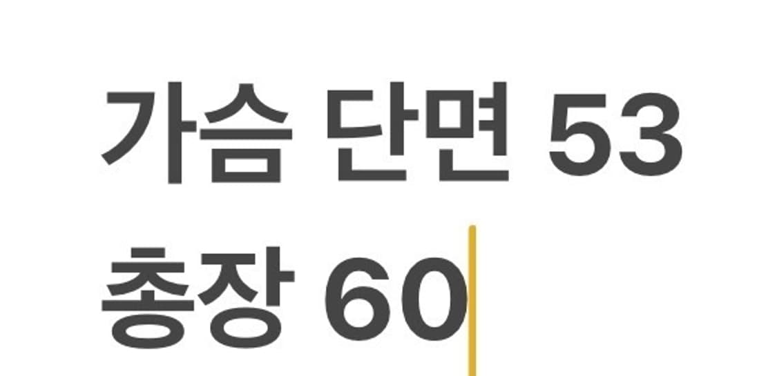 [정품/L] 내셔널지오그래픽 양털 패딩 조끼 아이보리 베이지 b16 상품이미지7