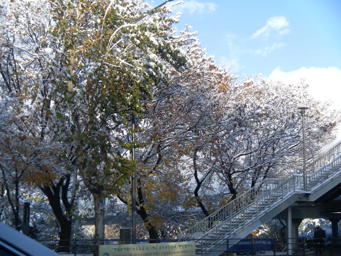 NCT재민 디카&희귀!) Samsung VLUU i8 카메라 상품이미지5