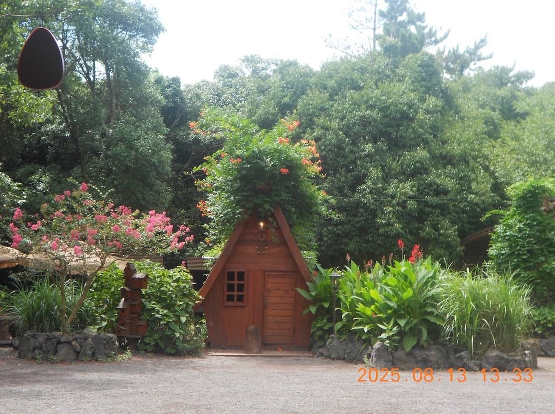 니콘 coolpix s2600 디카 레드 상품이미지5