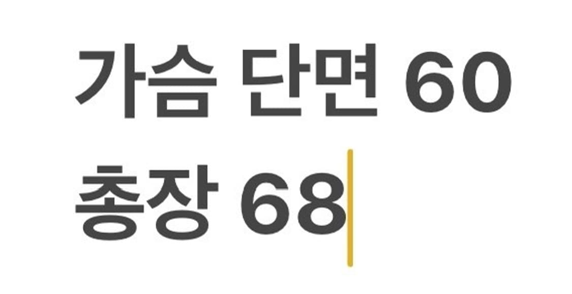 [정품/L] 타미힐피거 형광색 아노락 바람막이 b10 상품이미지10