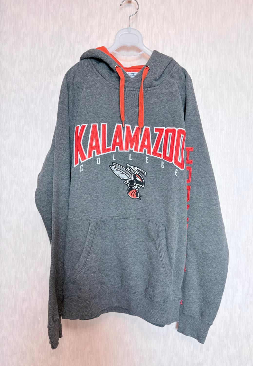 CHAMPION 대학교 말벌후드티🐝 상품이미지1