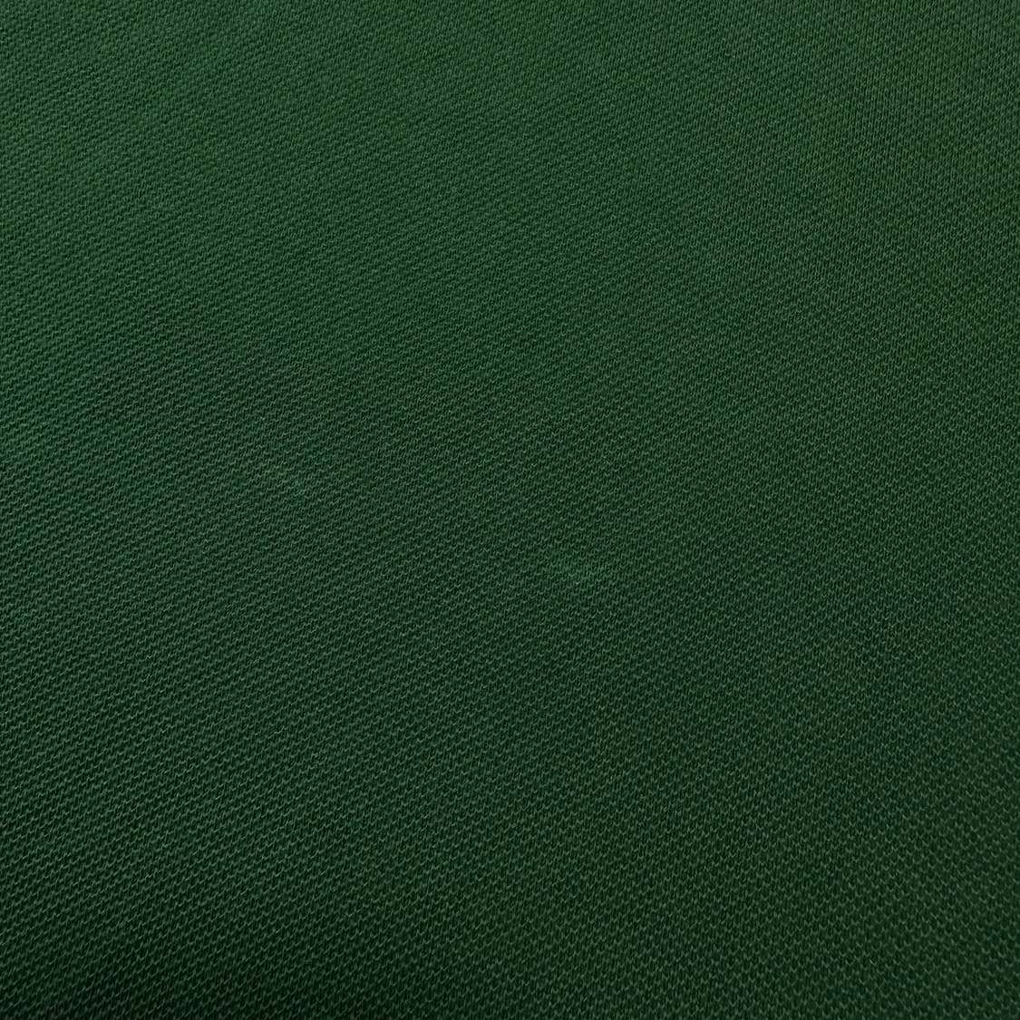 ✨ (바배) 라코스테 그린 카라 롱슬리브 상품이미지5
