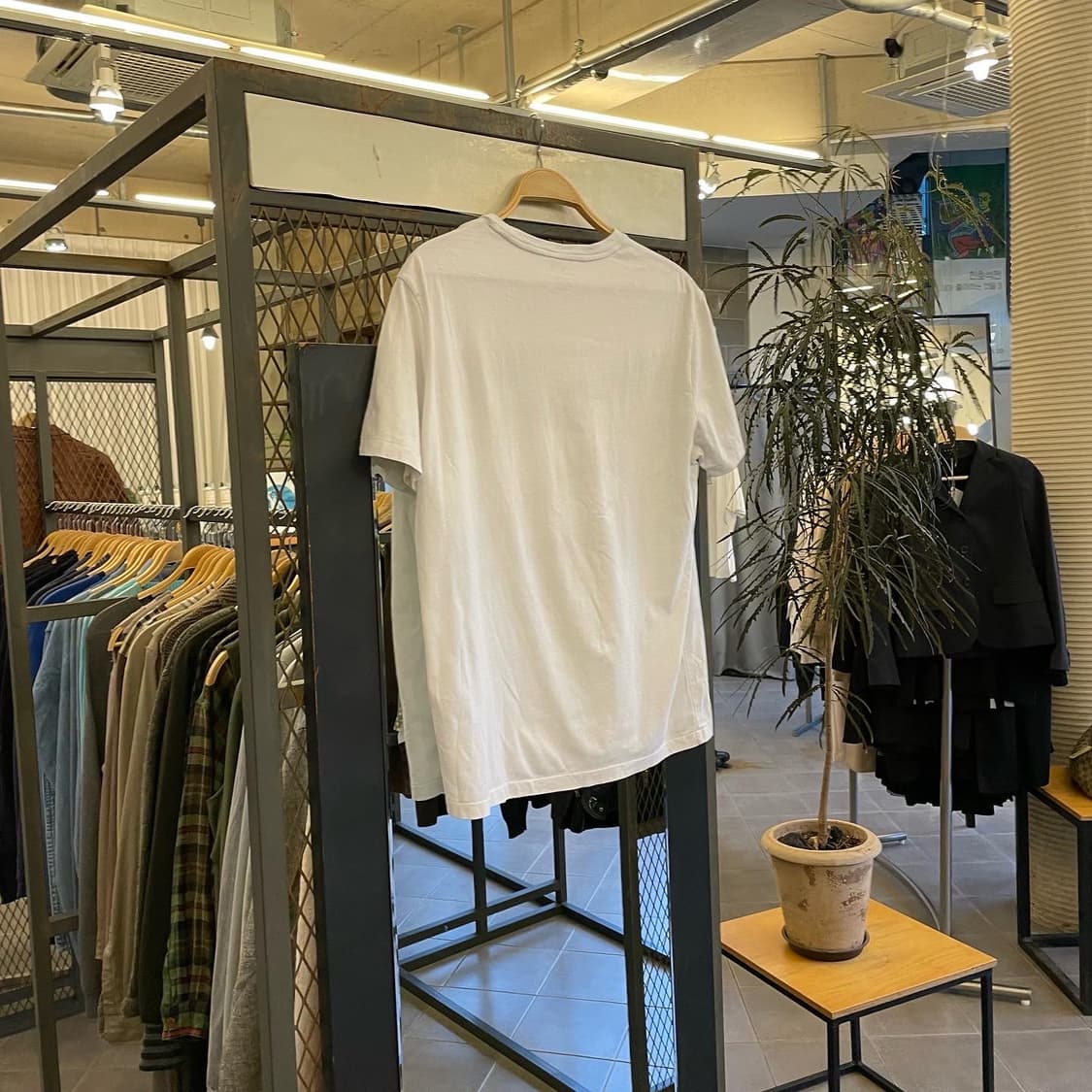 폴로 화이트 티셔츠 상품이미지4