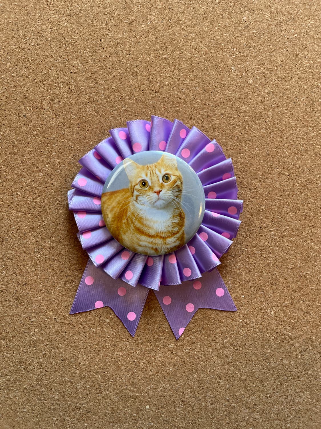 치즈냥이 로제트 😽 상품이미지4