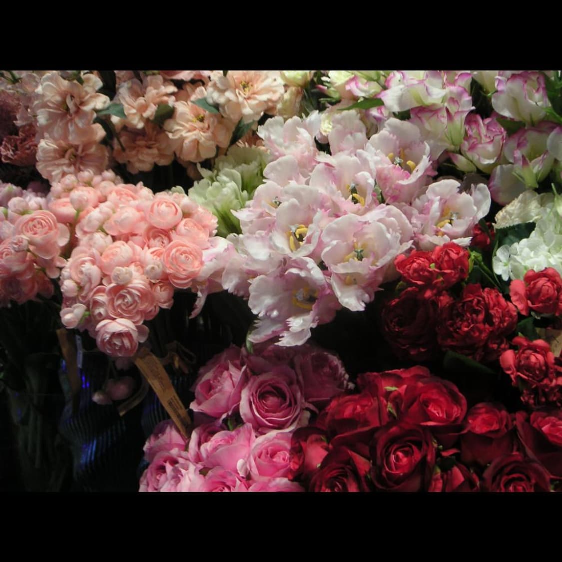 작례⭕️ 미놀타 디미지 디마지 XT DIMAGE XT 상품이미지9