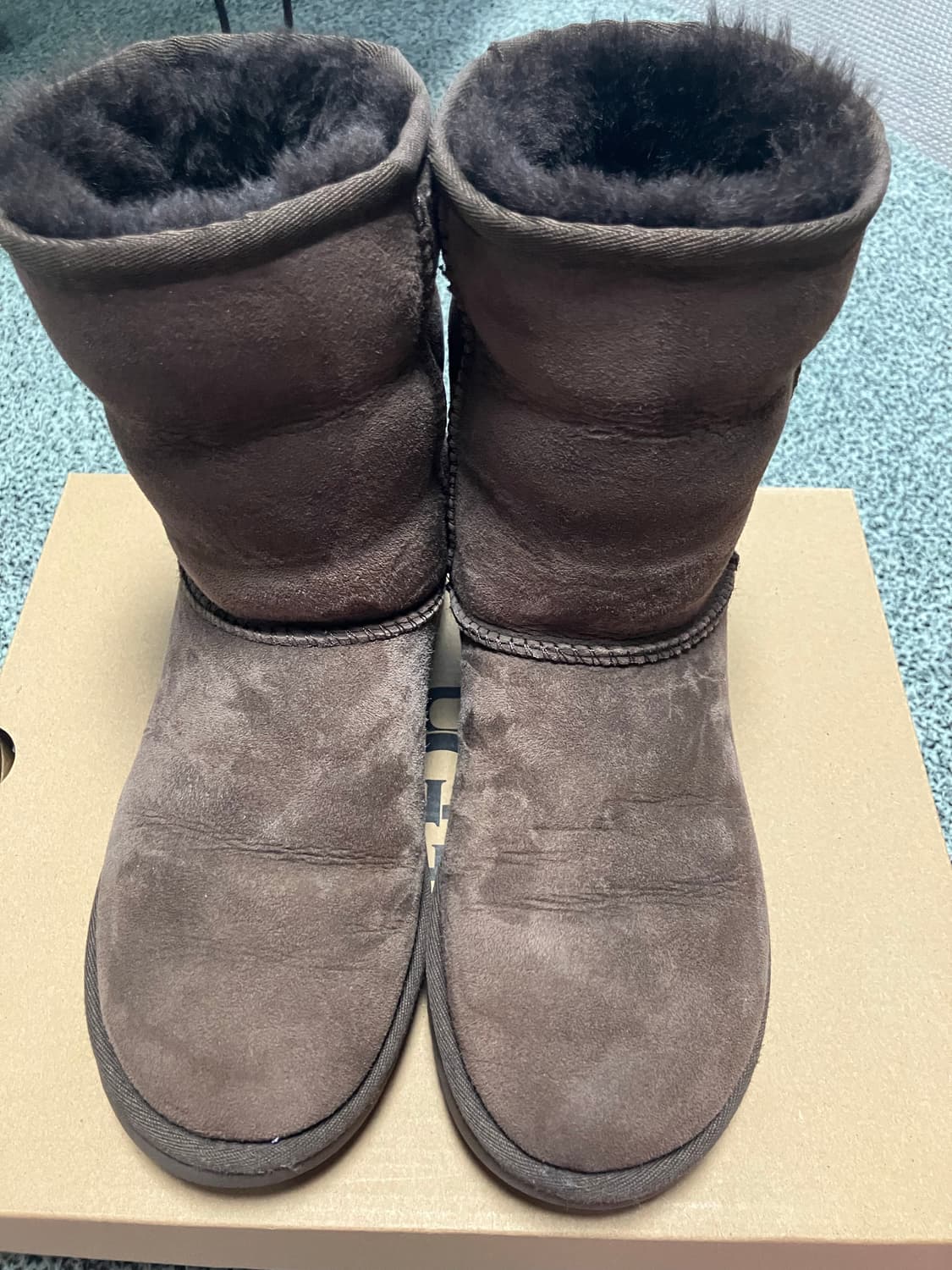 [5W] 어그 클래식 쇼츠 2 부츠 초콜릿 상품이미지2