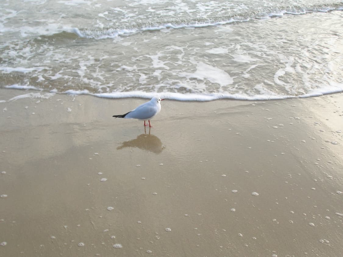 니콘 쿨픽스 5600  상품이미지2