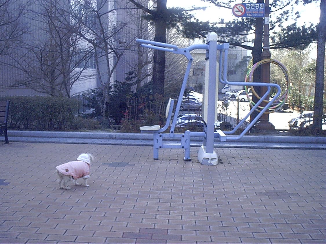 삼성 디지맥스 130 디지털카메라 상품이미지10