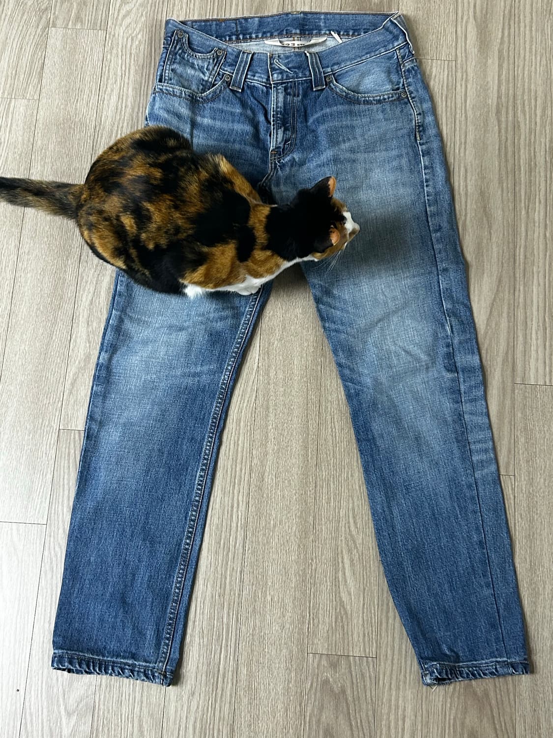 리바이스 523 (W32 L33) 상품이미지1