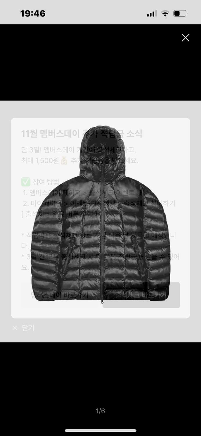 오와이 경량패딩 상품이미지1