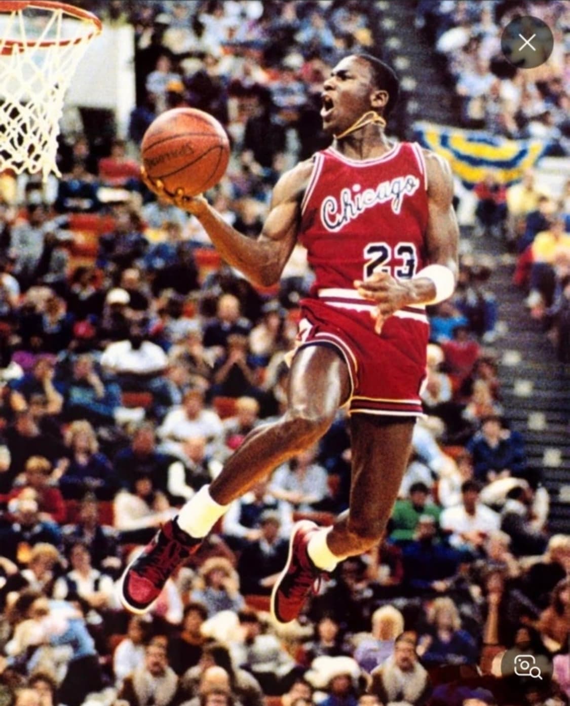 나이키 조던 85 브레드 260 미개봉 새제품 상품이미지2