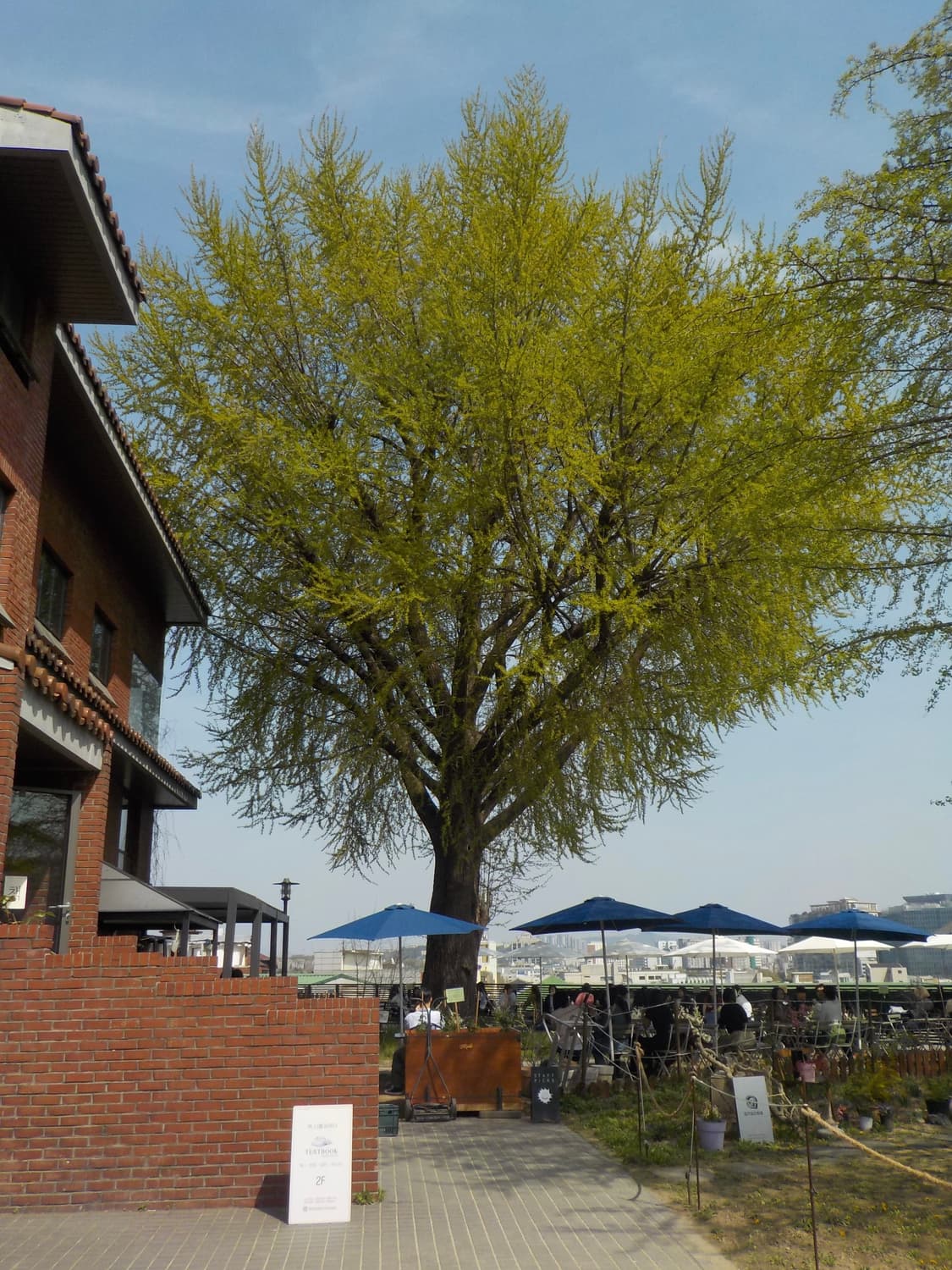 [초인기💕] 찰스엔터 니콘 쿨픽스 W100 핑크 상품이미지10