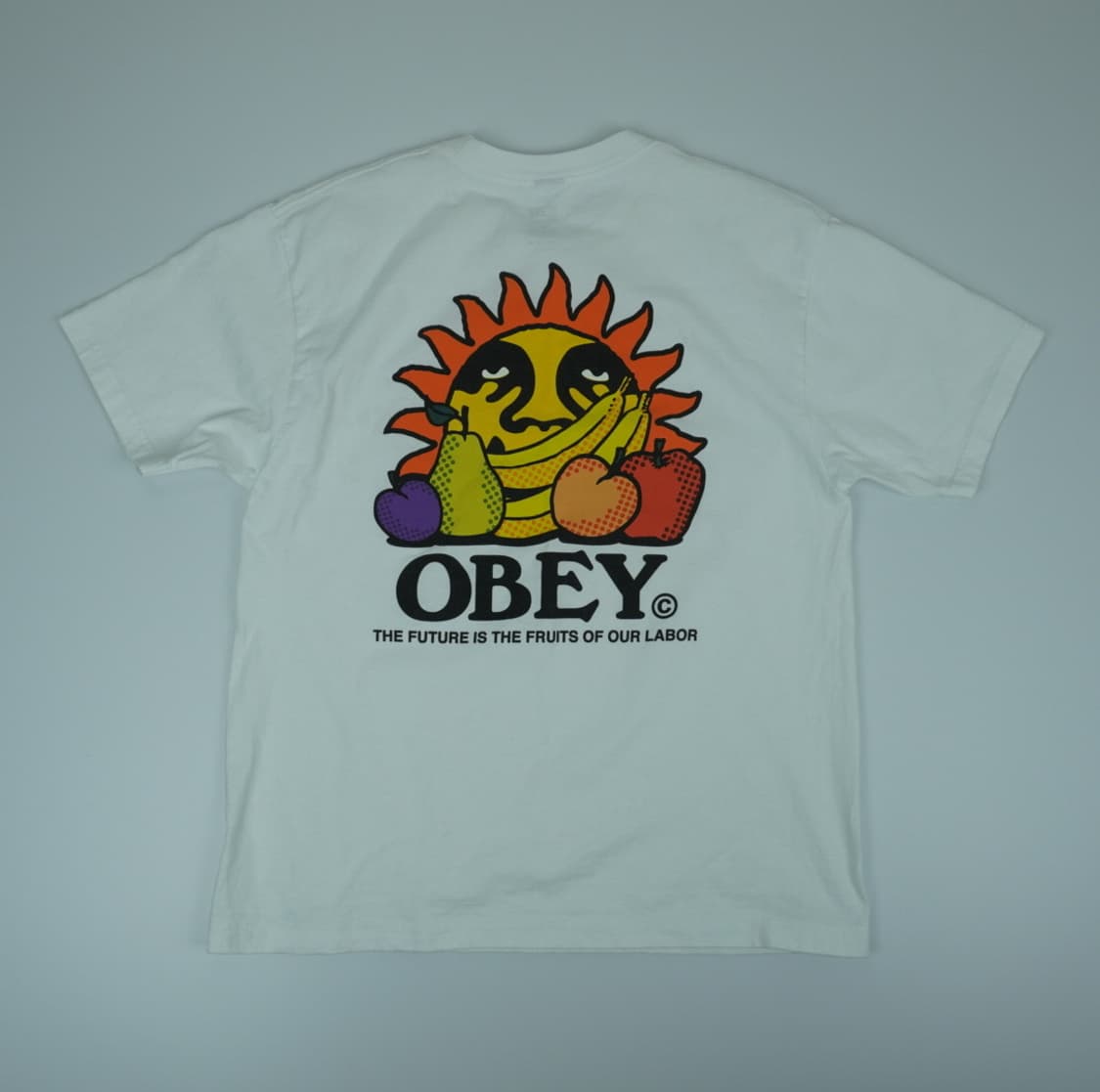 OBEY 오베이 그래픽 반팔 | 상태사진확인 상품이미지7