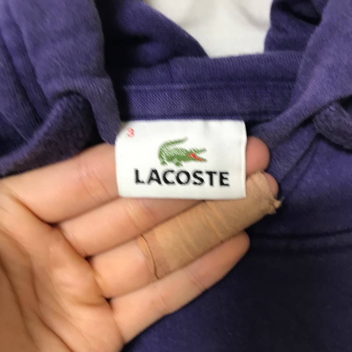 [ 3 ] 라코스테 자수 빅로고 후드티 상품이미지4