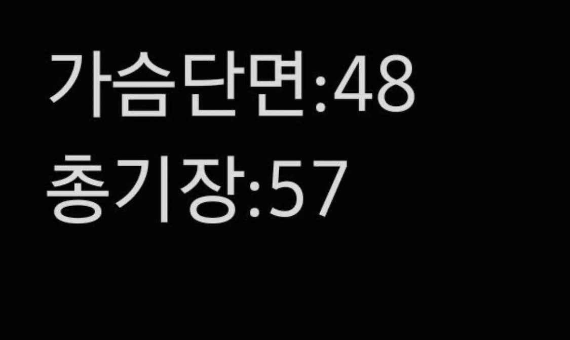 [정품/85] 노스페이스 써밋 700 블랙 패딩조끼 상품이미지5