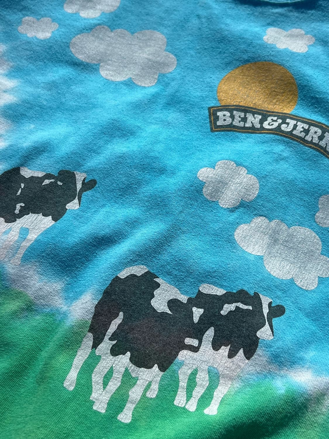 Ben&jerrys Anvil 00s T shirt 상품이미지4