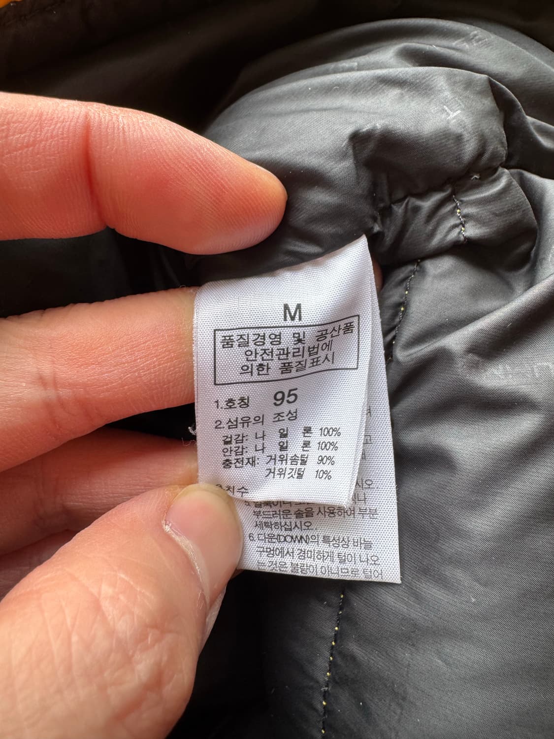 00s TNF summit series Lhotse goose down 상품이미지4