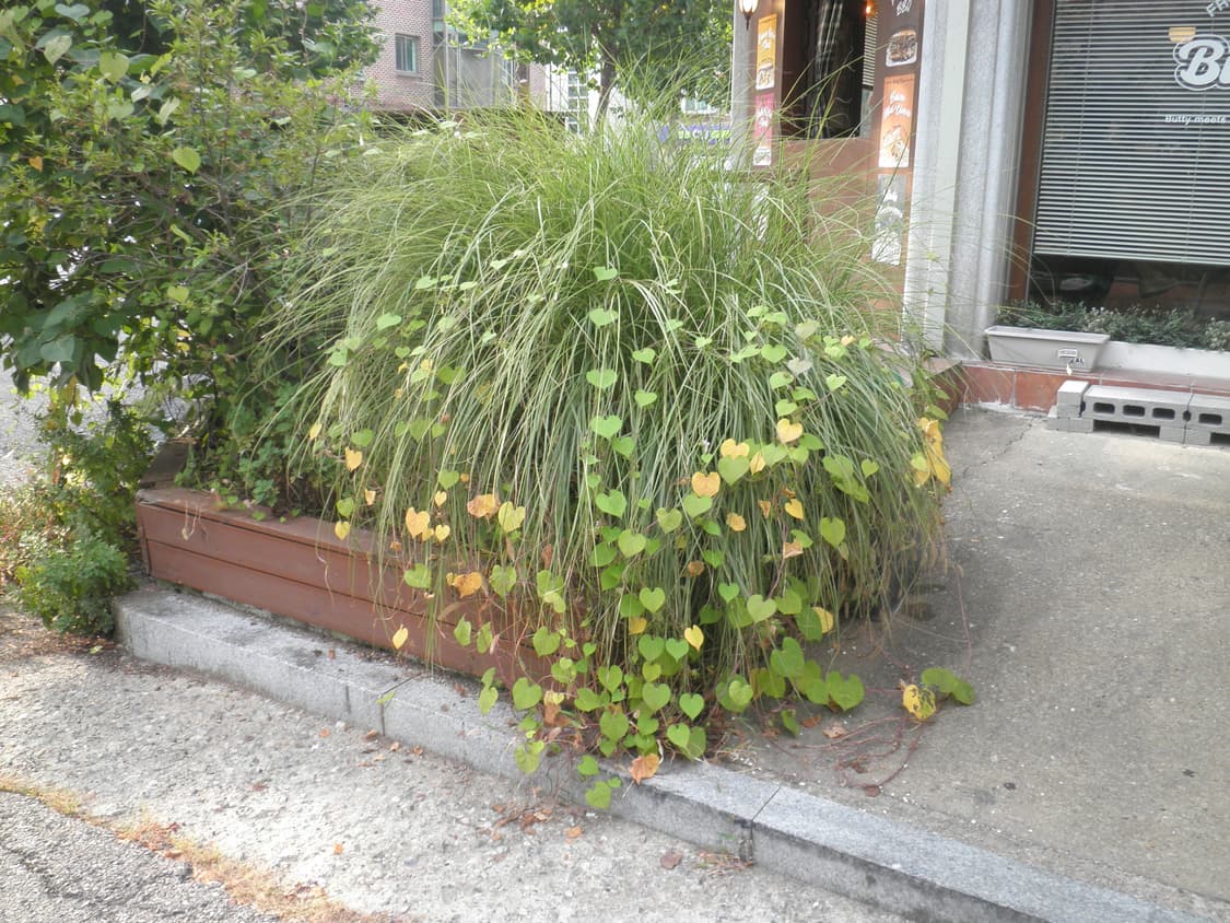 올림푸스 뮤 5010 디카 (작례 O) 상품이미지7