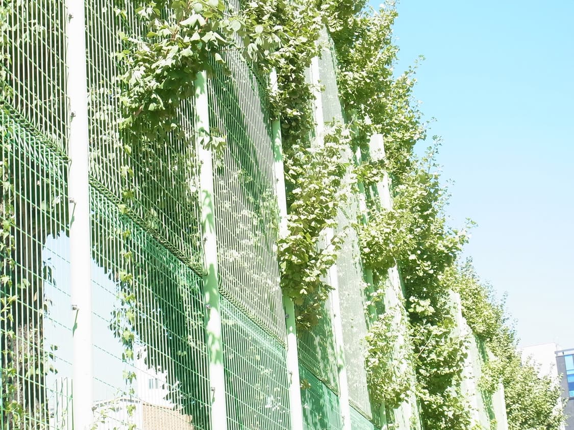 리코 cx5 (작례o) 상품이미지3