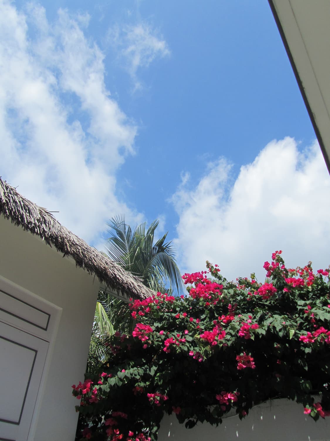 canon powershot sx210is purple 캐논 빈티지 디카 상품이미지6