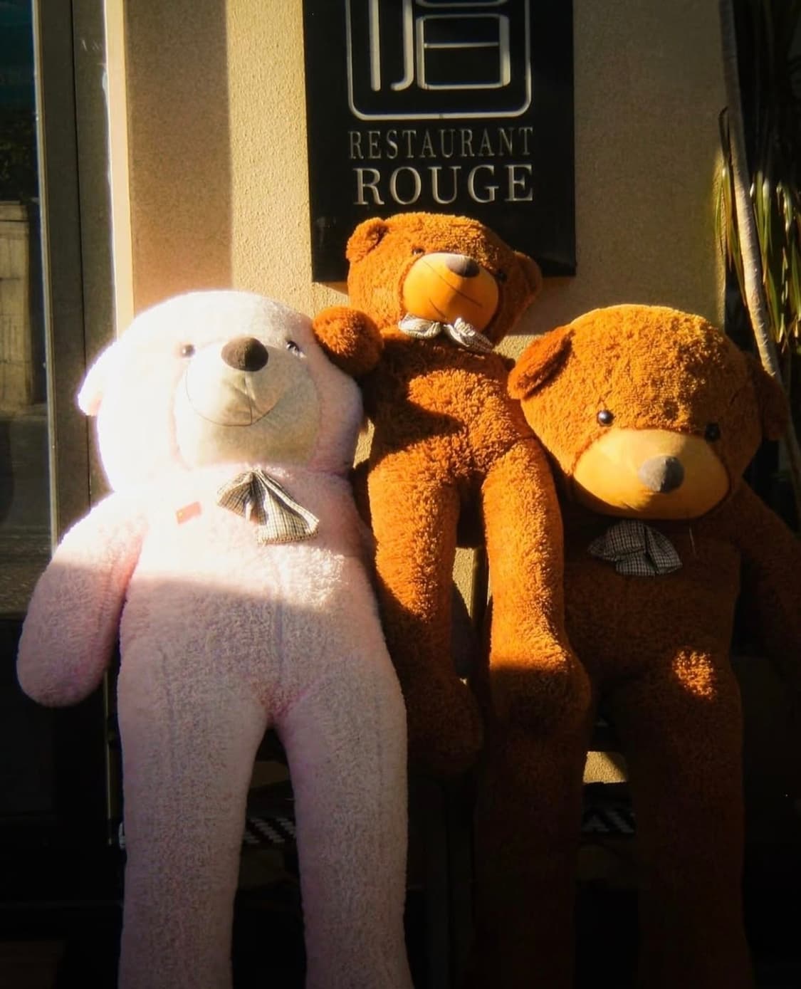 📷올림푸스 FE180 ✨ 빈티지 필름느낌 감성디카 💕 상품이미지4