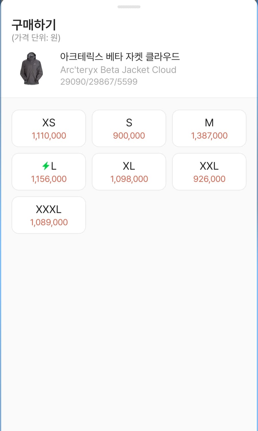 아크테릭스 베타 클라우드 자켓 상품이미지4