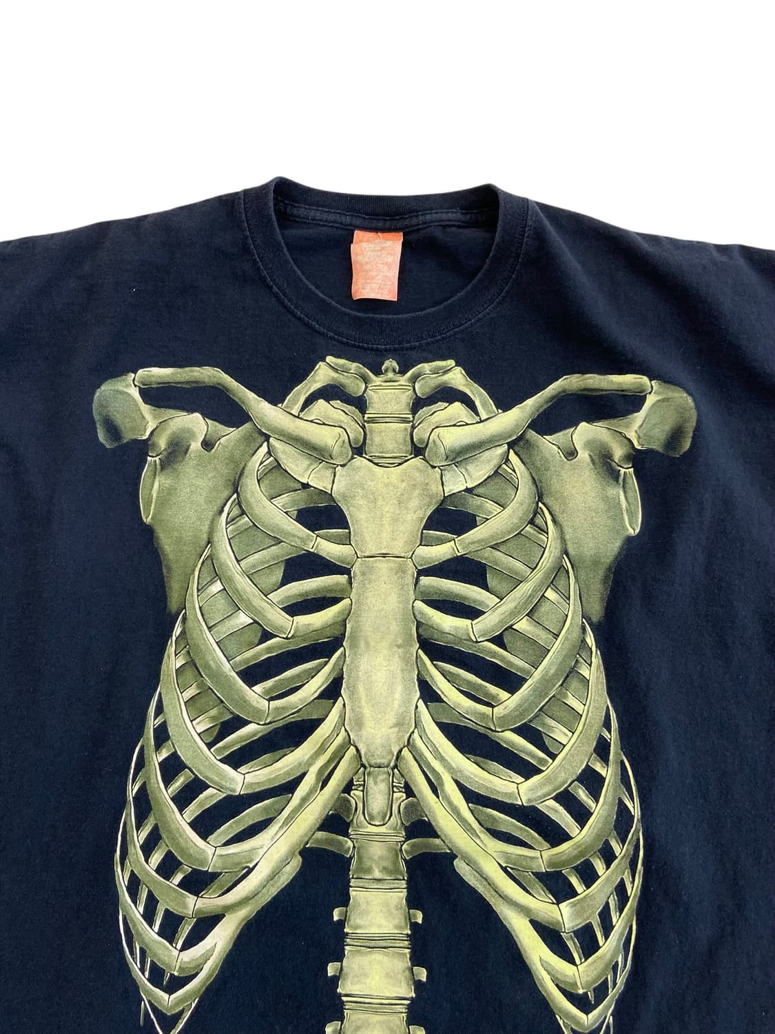 Glow in the Dark 스켈레톤 아나토미 반팔티셔츠 상품이미지4