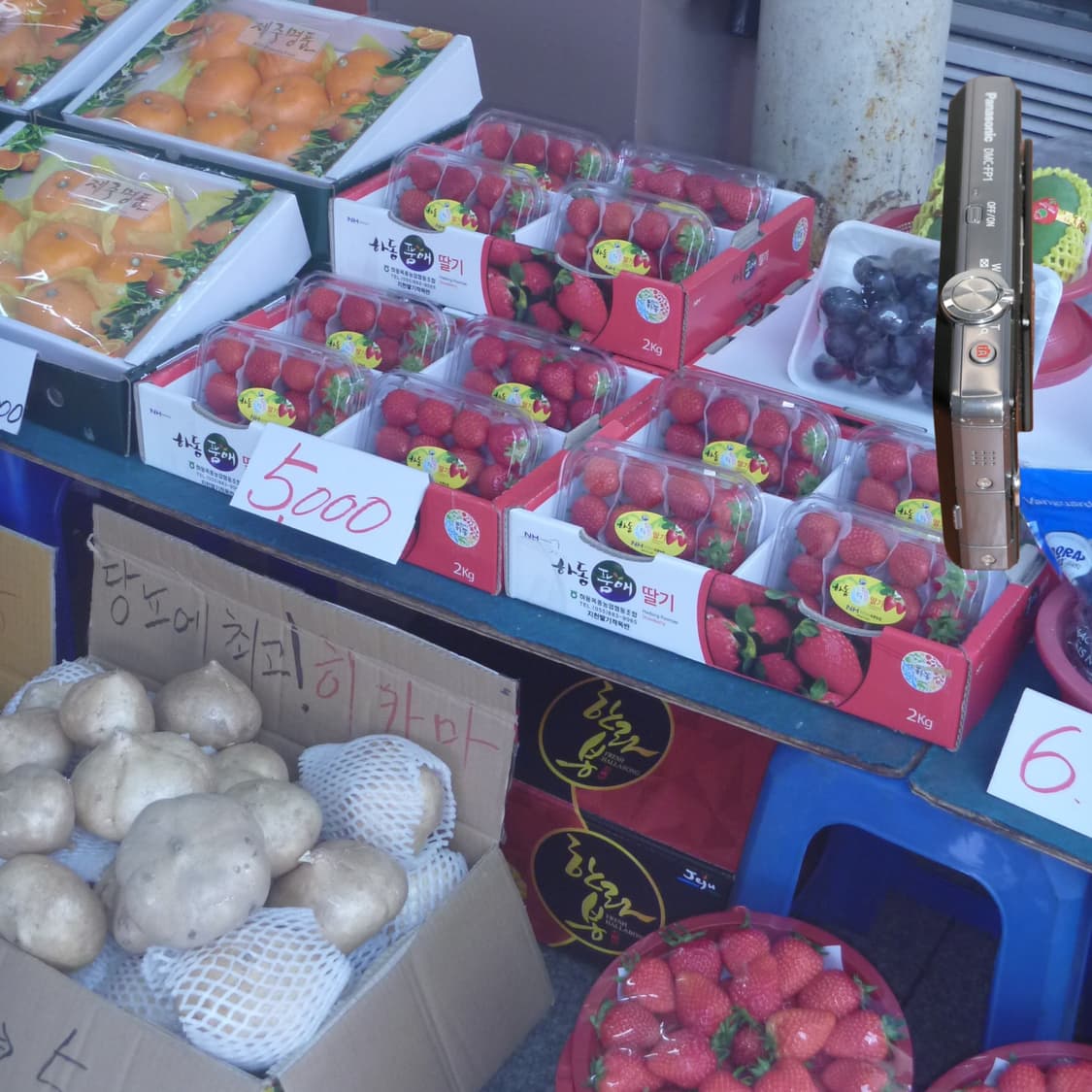 LUMIX FP1(🎁풀패키지/📸Leica) 상품이미지9