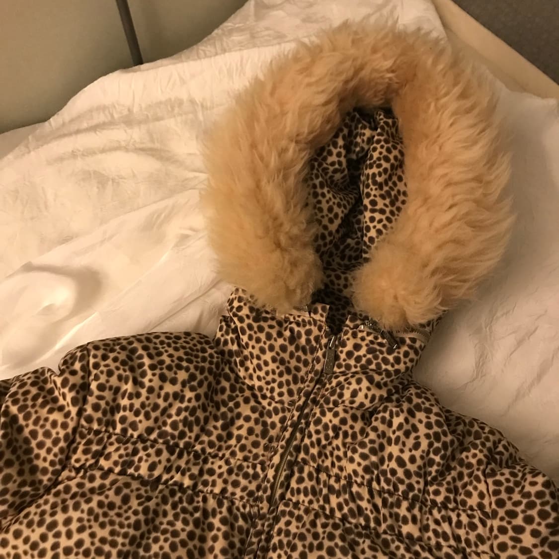 Moschino 모스키노 갸루 레오파드 퍼 패딩 상품이미지5