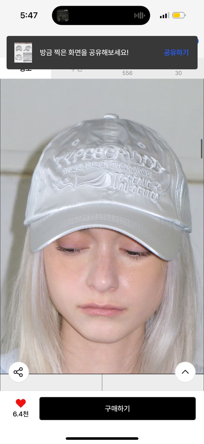 타입서비스 Graphic Embroidery Cap silver 상품이미지3