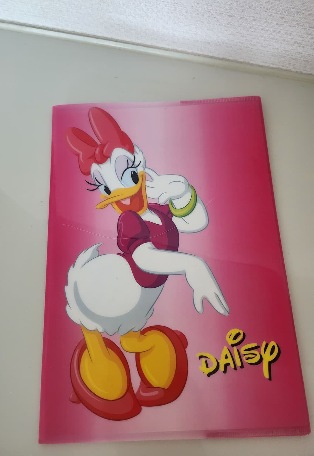 일본 정품 디즈니 캐릭터 노트 모음 (프린세스/스티치/데이지/마리) 상품이미지9