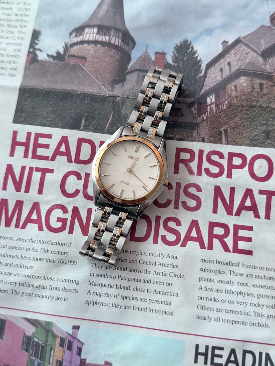 세이코 Seiko Dolce  드레스 워치 콤비 상품이미지3