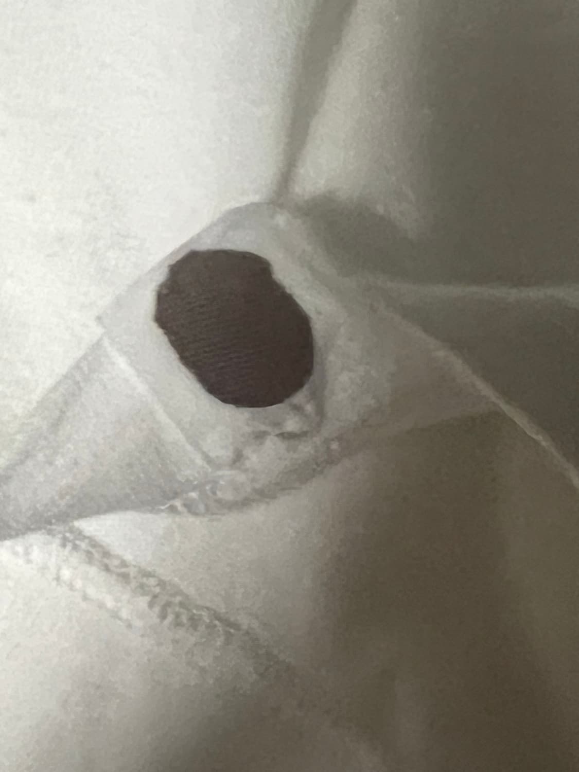 베이프 크레딧 빈팔티셔츠 L 상품이미지5