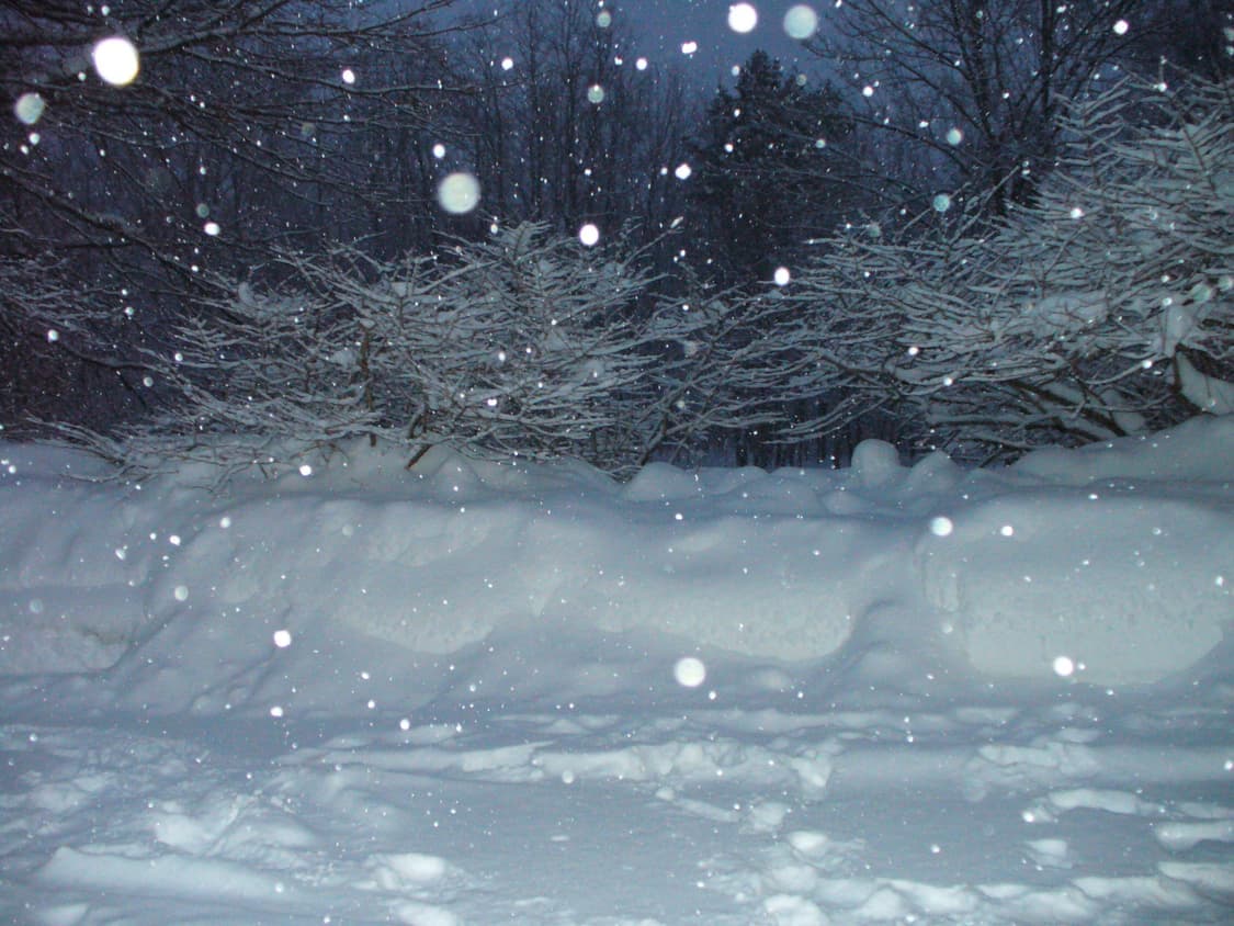 필카st✧･ﾟPanasonic lumix dmc-lz5 루믹스 디카 상품이미지2