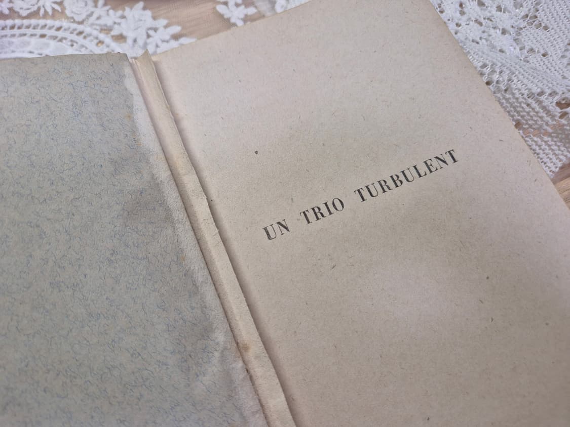 Antique 1929년 프랑스앤틱서적 상품이미지5