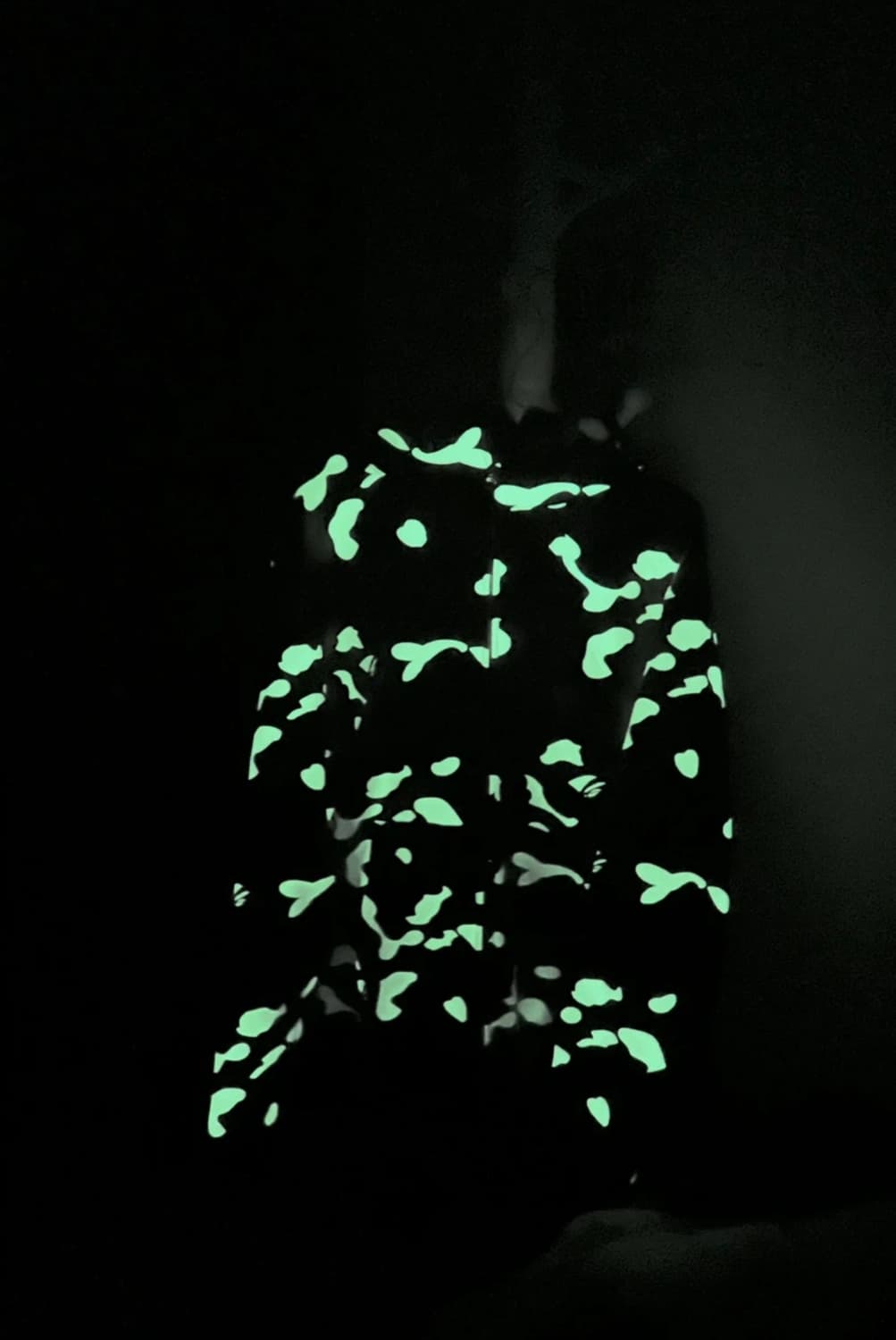 베이프 흑계 사크 후드 Xl 상품이미지3