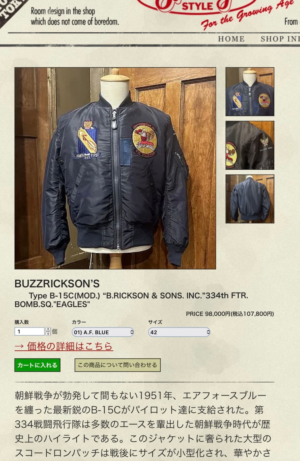 버즈릭슨 B-15C 플라이트 자켓 (40) 상품이미지7