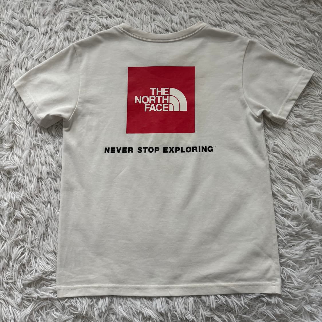 THE NORTH FACE 일본빈티지 크롭티 노스페이스 빈티지크롭티 반팔 상품이미지3