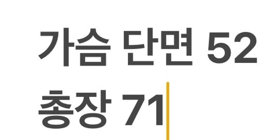 [정품/S] 뉴에라 카모 아노락 바람막이 오렌지 포인트 b8 상품이미지9