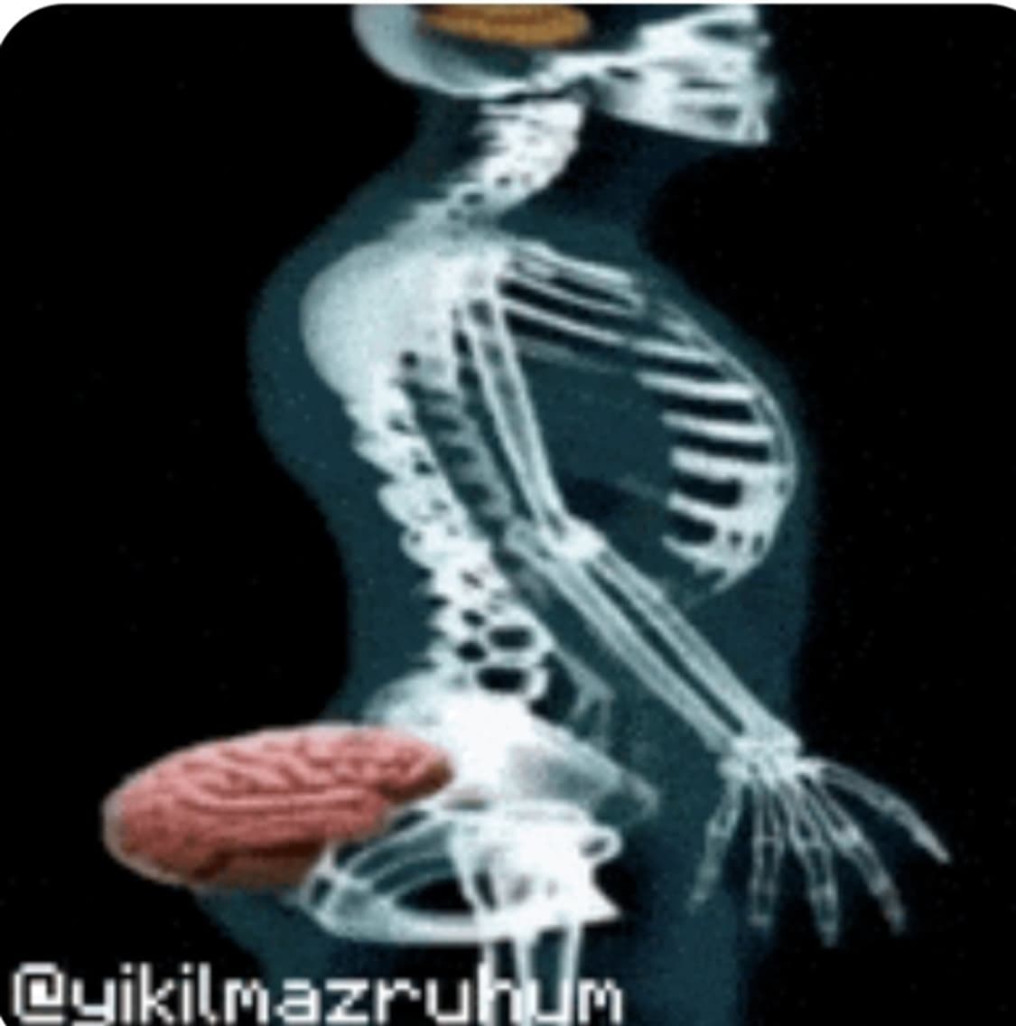 [XL] Y2K SHIT HEAD  빈티지 유머 티셔츠 블랙 상품이미지8
