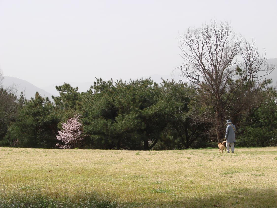 SONY 소니 사이버샷 DSC-H5 상품이미지6