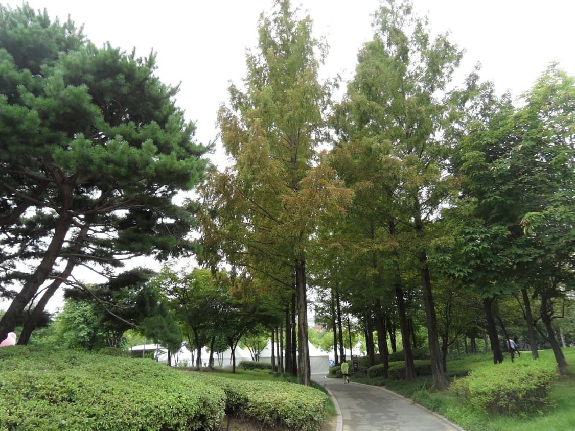 코니카 미놀타 디미지x, xt 상품이미지8